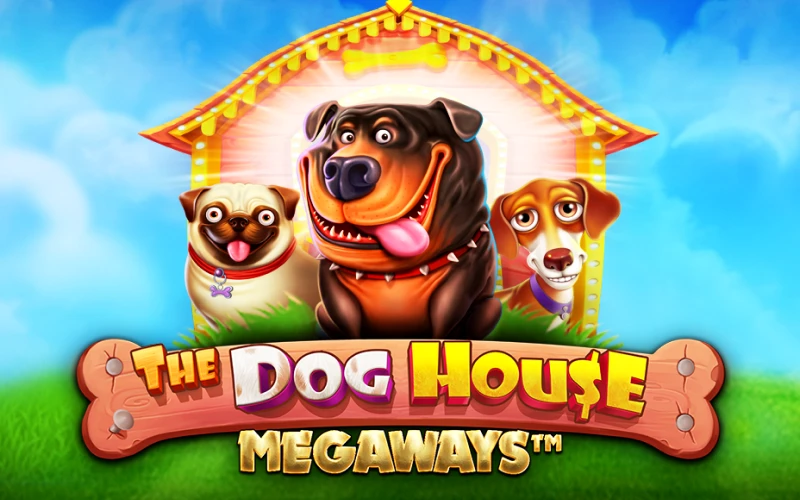 Enter The Dog House Megaways and win on MegaPari.