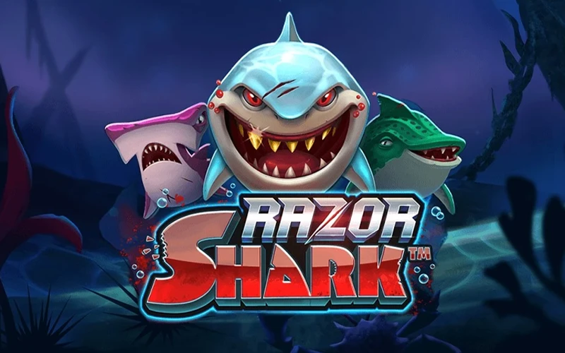 Try your luck with the Razor Shark slot at MegaPari today.