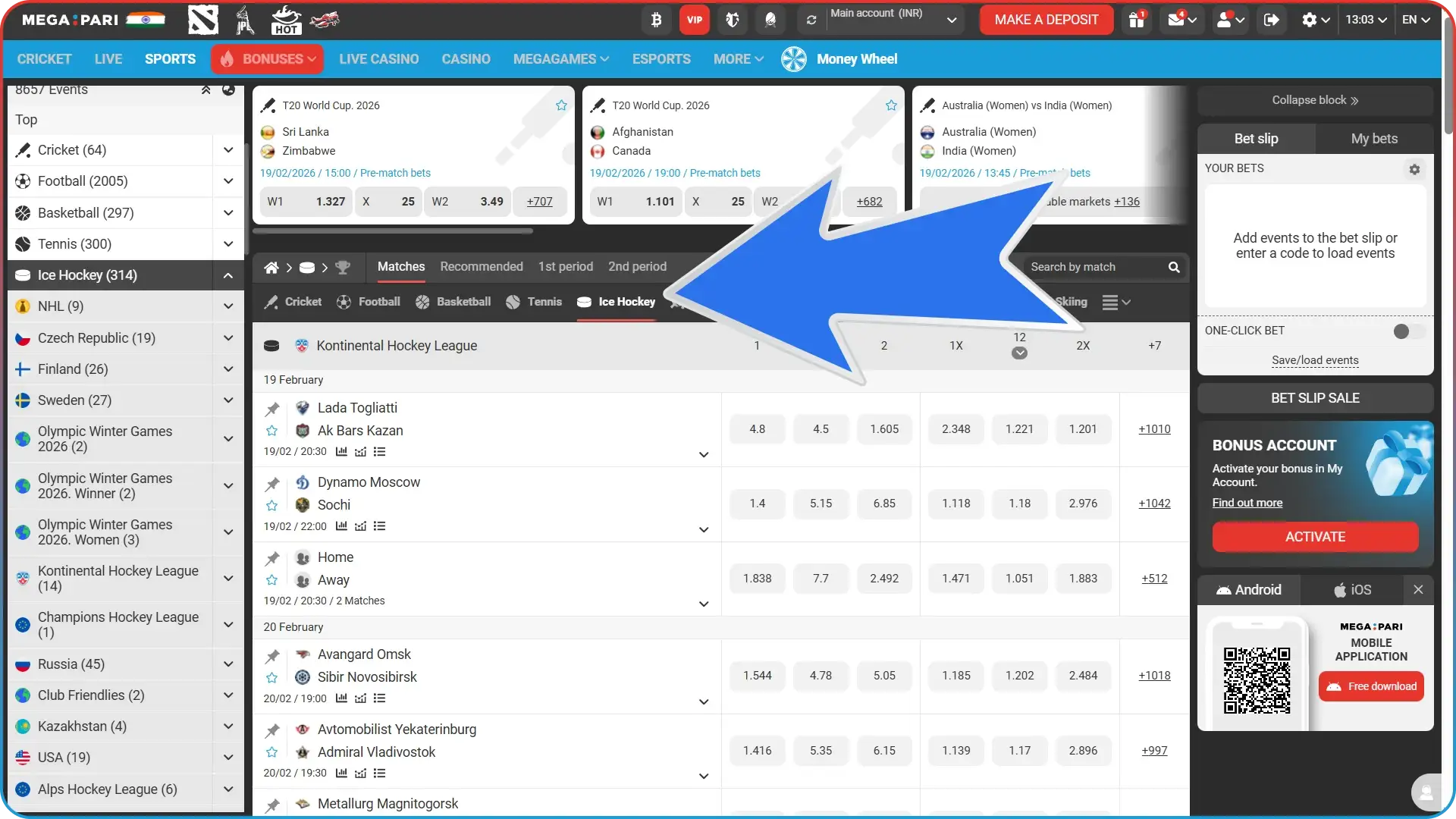 Choose the best hockey league on the MegaPari website.