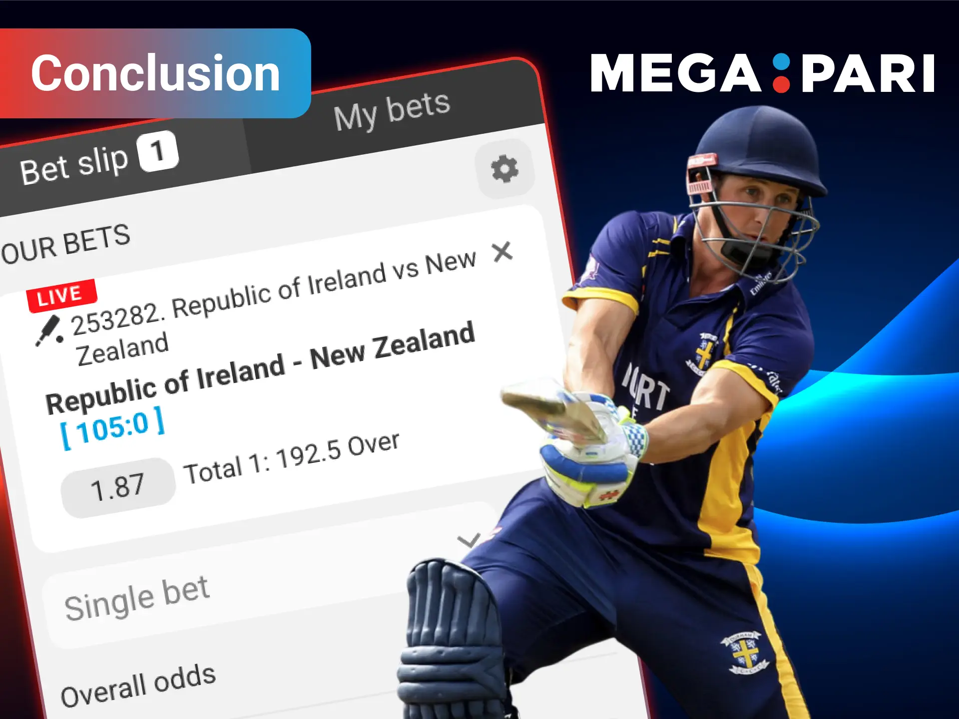 Read our comprehensive conclusion summarizing how Megapari and Phil Mustard are elevating the cricket betting experience.